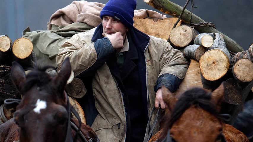 Фото - Союзник России в Европе решил увеличить заготовку дров